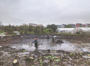 眉山河道鱼塘清淤